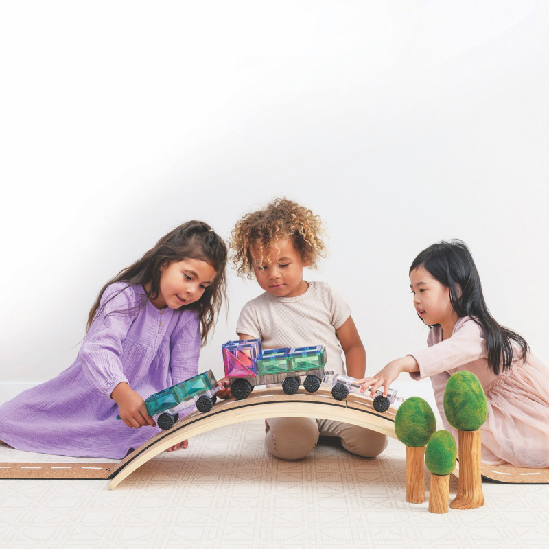 Costruzione magnetica CONNETIX® Pastel Transport Pack 50 pezzi Costruzione magnetica CONNETIX® Pastel Transport Pack 50 pezzi