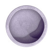 Stapelstein Original Light Violet Stapelstein Original Light Violet