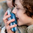 I walkie-talkie per bambini The Zoofamily – Procione - Procione