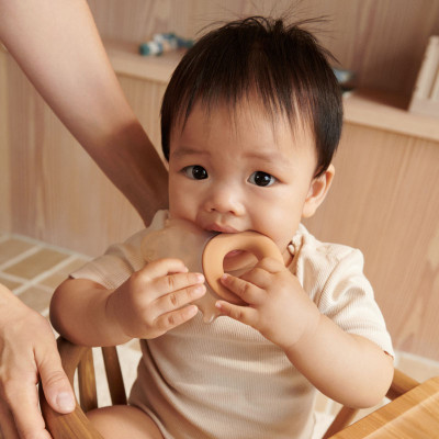 LIEWOOD massaggiagengive rinfrescante Rita elefante confezione da 2 Pale tuscany / Sandy