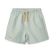 LIEWOOD Duke pantaloncini da bagno a righe Stripe Peppermint