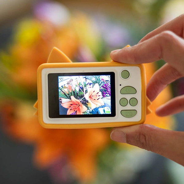 dettaglio della fotocamera