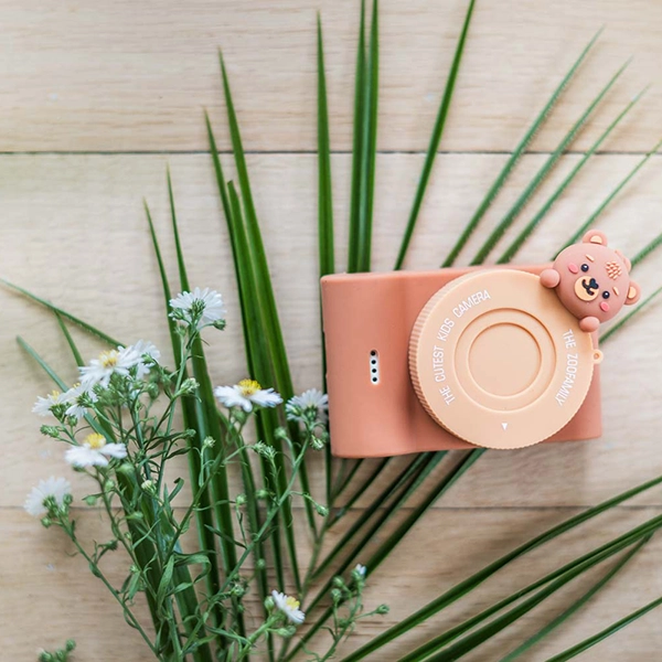 dettaglio fotocamera