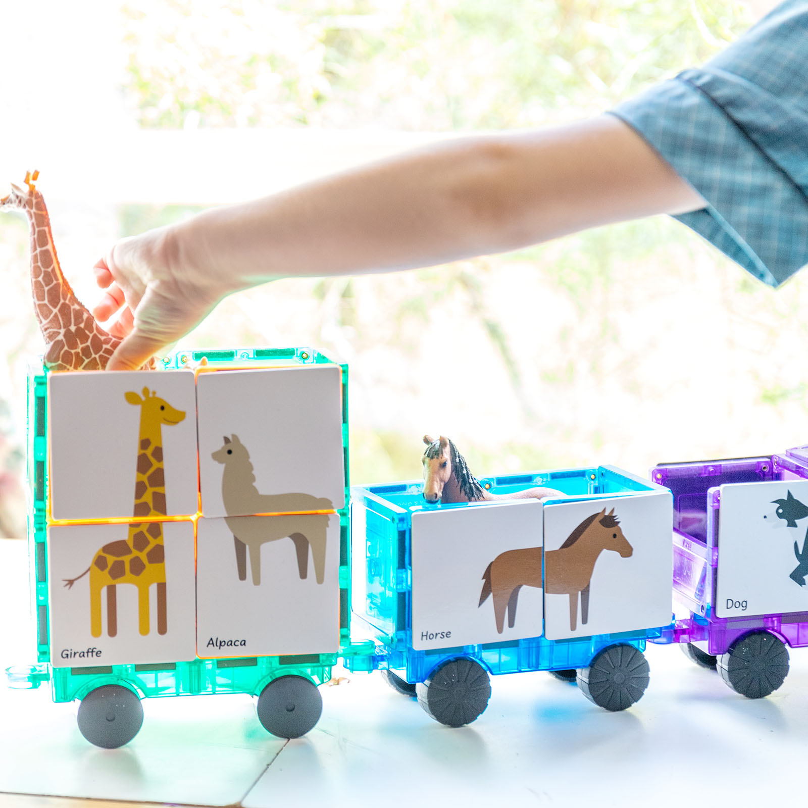 Schede magnetiche animali puzzle 40 pezzi