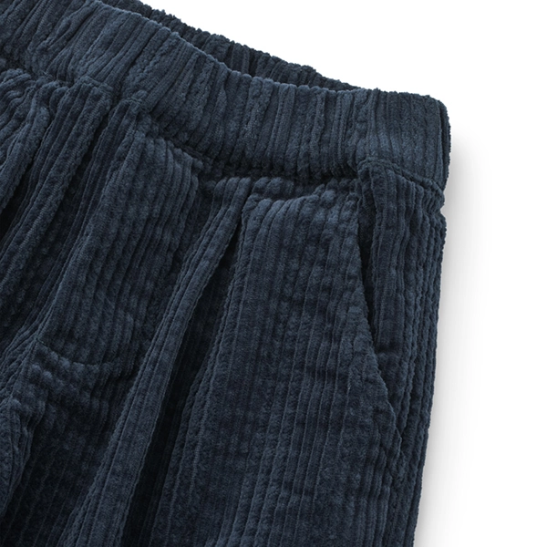 LIEWOOD BORRIS Pantaloni in velluto a coste per bambini Classic navy